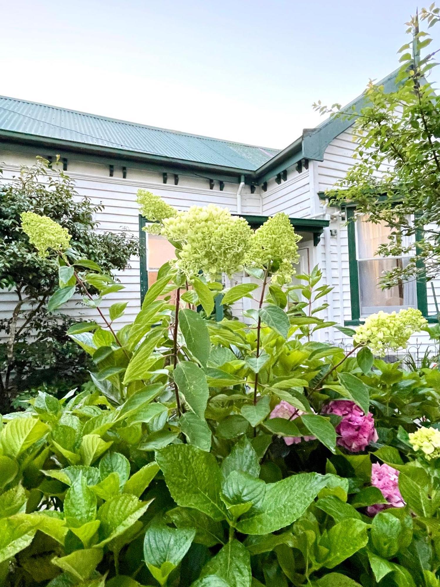 Strahan Wilderness Lodge Eksteriør bilde