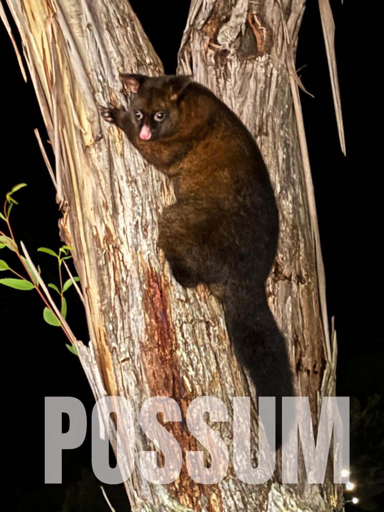 Strahan Wilderness Lodge Eksteriør bilde